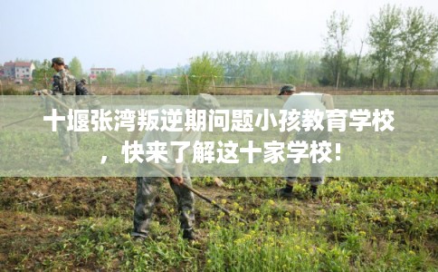 十堰张湾叛逆期问题小孩教育学校，快来了解这十家学校!