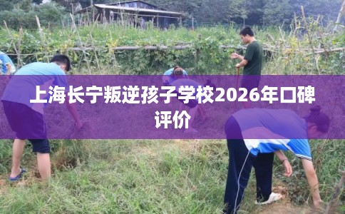 上海长宁叛逆孩子学校2026年口碑评价