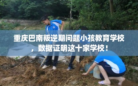 重庆巴南叛逆期问题小孩教育学校，数据证明这十家学校！