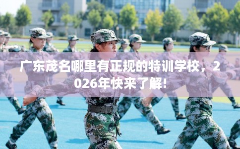 广东茂名哪里有正规的特训学校，2026年快来了解!
