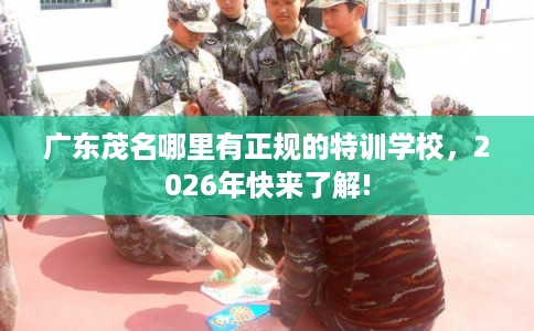 广东茂名哪里有正规的特训学校，2026年快来了解!