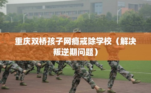 重庆双桥孩子网瘾戒除学校（解决叛逆期问题）