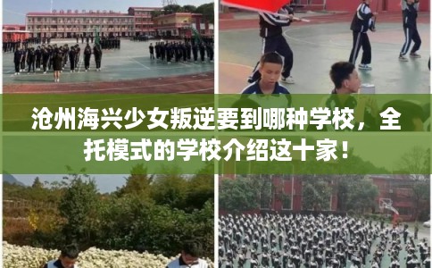 沧州海兴少女叛逆要到哪种学校，全托模式的学校介绍这十家！
