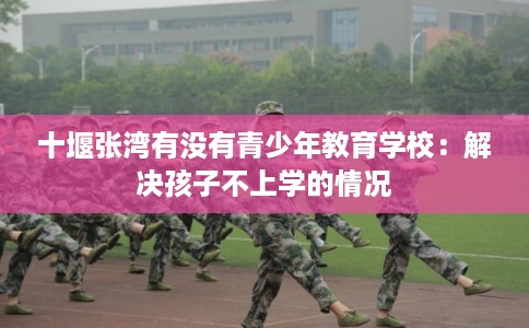 十堰张湾有没有青少年教育学校：解决孩子不上学的情况