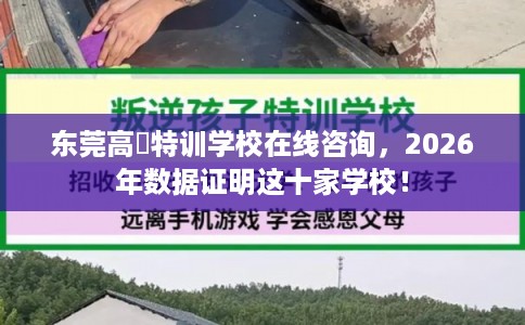 东莞高埗特训学校在线咨询，2026年数据证明这十家学校！