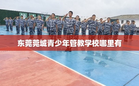 东莞莞城青少年管教学校哪里有 东莞莞城青少年管教学校哪里有