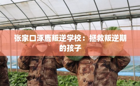 张家口涿鹿叛逆学校：拯救叛逆期的孩子