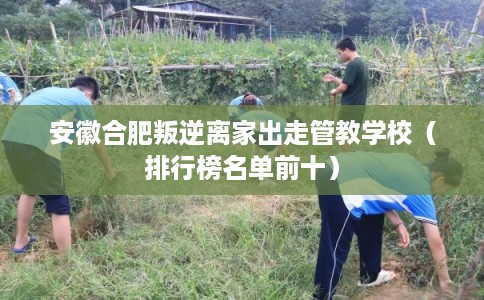 安徽合肥叛逆离家出走管教学校（排行榜名单前十）