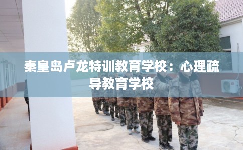 秦皇岛卢龙特训教育学校：心理疏导教育学校