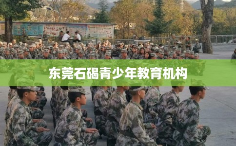 东莞石碣青少年教育机构