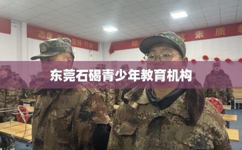 东莞石碣青少年教育机构
