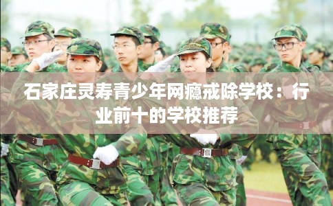 石家庄灵寿青少年网瘾戒除学校：行业前十的学校推荐