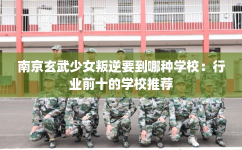 南京玄武少女叛逆要到哪种学校：行业前十的学校推荐