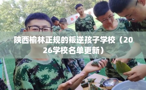 陕西榆林正规的叛逆孩子学校（2026学校名单更新）