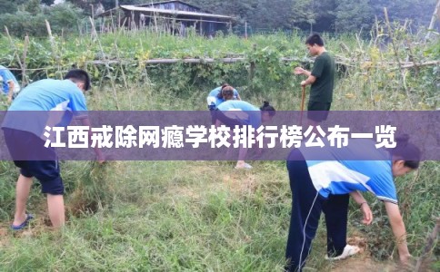 江西戒除网瘾学校排行榜公布一览