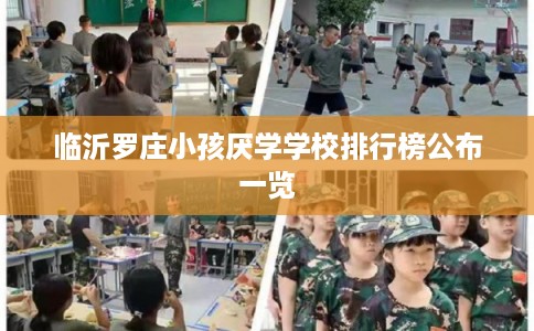 临沂罗庄小孩厌学学校排行榜公布一览