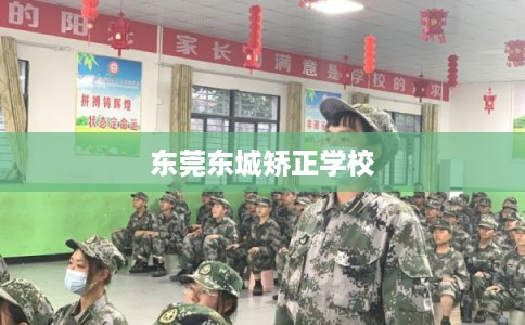 东莞东城矫正学校