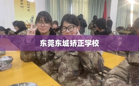 东莞东城矫正学校