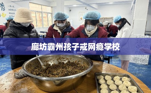 廊坊霸州孩子戒网瘾学校