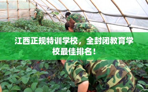 江西正规特训学校，全封闭教育学校最佳排名！
