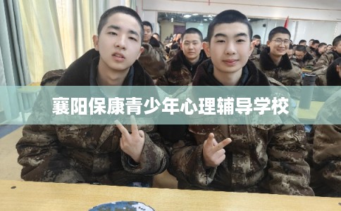 襄阳保康青少年心理辅导学校