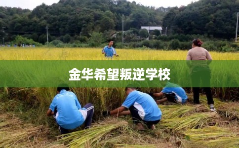 金华希望叛逆学校