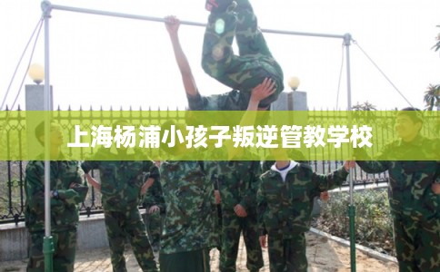 上海杨浦小孩子叛逆管教学校