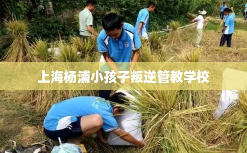 上海杨浦小孩子叛逆管教学校
