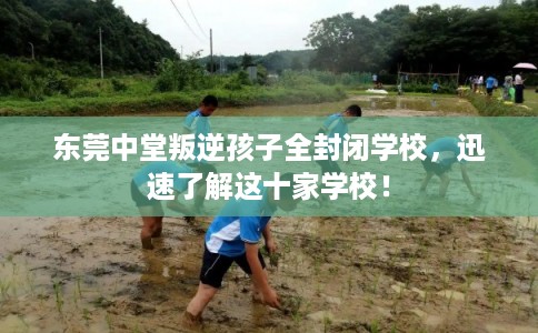 东莞中堂叛逆孩子全封闭学校，迅速了解这十家学校！