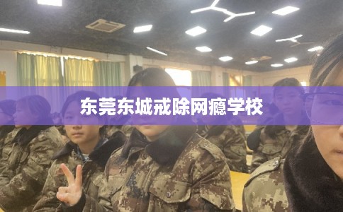 东莞东城戒除网瘾学校