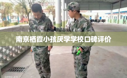 南京栖霞小孩厌学学校口碑评价