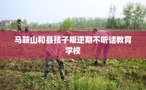 马鞍山和县孩子叛逆期不听话教育学校