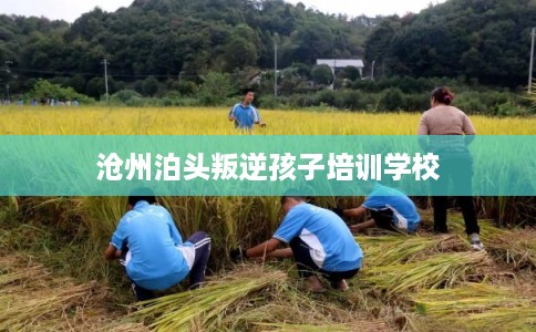 沧州泊头叛逆孩子培训学校