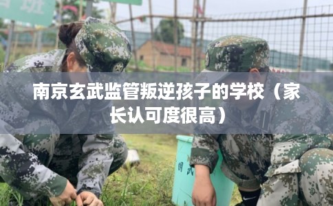 南京玄武监管叛逆孩子的学校（家长认可度很高）