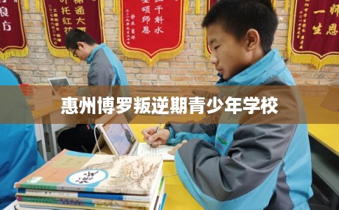惠州博罗叛逆期青少年学校