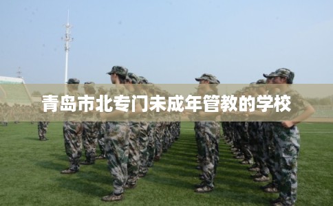 青岛市北专门未成年管教的学校