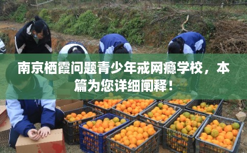 南京栖霞问题青少年戒网瘾学校，本篇为您详细阐释！