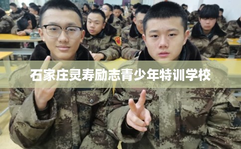 石家庄灵寿励志青少年特训学校