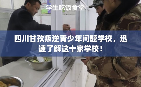 四川甘孜叛逆青少年问题学校，迅速了解这十家学校！