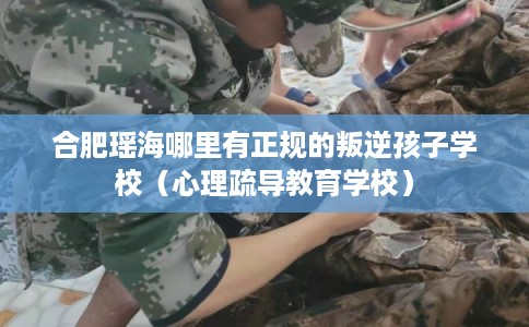 合肥瑶海哪里有正规的叛逆孩子学校（心理疏导教育学校）
