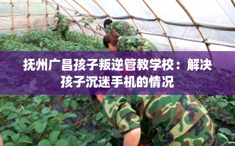 抚州广昌孩子叛逆管教学校：解决孩子沉迷手机的情况