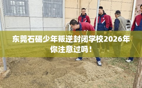东莞石碣少年叛逆封闭学校2026年你注意过吗! 东莞石碣少年叛逆封闭学校2026年你注意过吗!