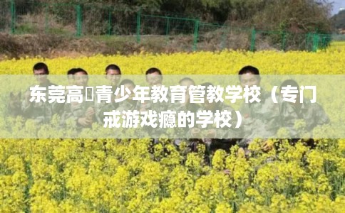 东莞高埗青少年教育管教学校（专门戒游戏瘾的学校）