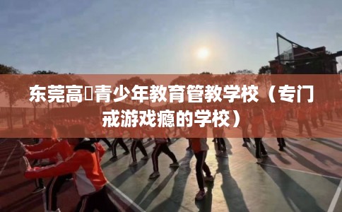 东莞高埗青少年教育管教学校（专门戒游戏瘾的学校）