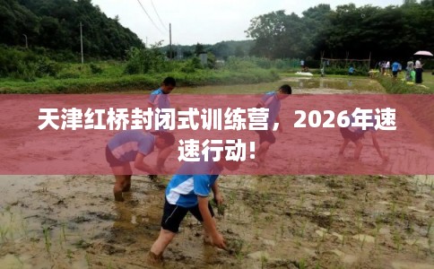 天津红桥封闭式训练营，2026年速速行动!