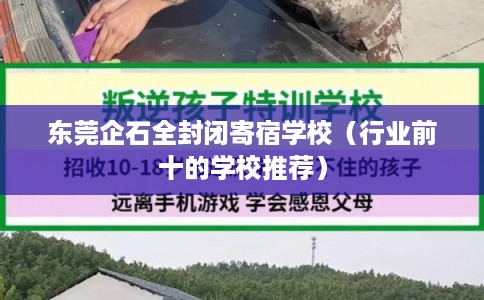 东莞企石全封闭寄宿学校（行业前十的学校推荐）