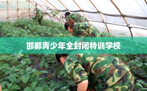 邯郸青少年全封闭特训学校 邯郸青少年全封闭特训学校