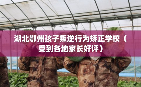 湖北鄂州孩子叛逆行为矫正学校（受到各地家长好评）