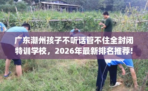 广东潮州孩子不听话管不住全封闭特训学校,2026年最新排名推荐! 广东潮州孩子不听话管不住全封闭特训学校,2026年最新排名推荐!