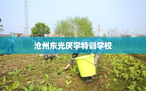 沧州东光厌学特训学校